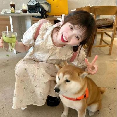 惊婚计